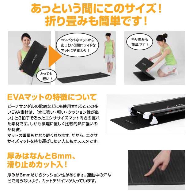 ALINCO（アルインコ） 折りたたみエクササイズマット 179×60 厚さ6mm
