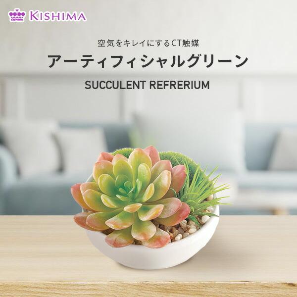 キシマ エクリア 消臭アーティフィシャルグリーン 2 Sサイズ KH-61181