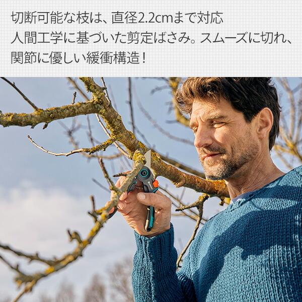 GARDENA 剪定ばさみ バイパス型 ExpertCut 12202-20 970475701