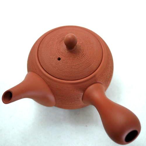 常滑焼 朱泥手彫松皮急須 人水窯 3合用 セラメッシュ 送料無料