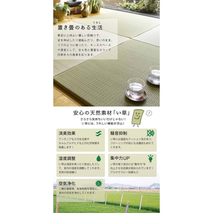 驚きの値段 置き畳 ユニット畳 い草 おしゃれ フローリング 畳 正方形 軽量 和風 約 Cm 6枚入 再再販 Dp3akb Jatengprov Go Id