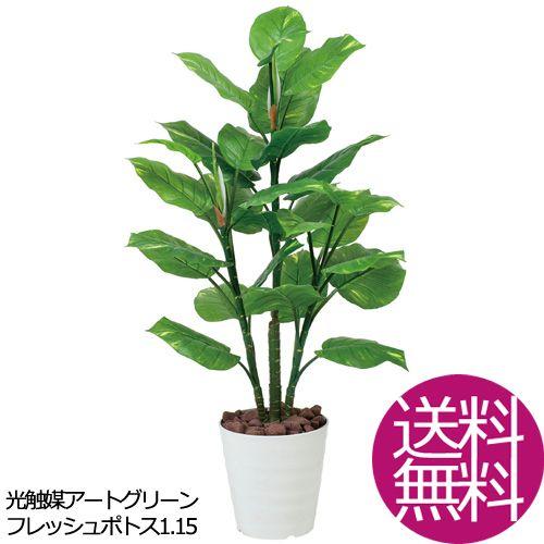 最安値に挑戦 観葉植物 造花 おしゃれ フレッシュポトス1 15 お祝い 希少 Mobile Scotturb Com