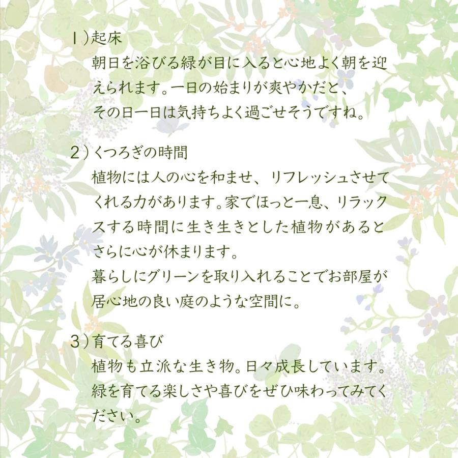 ボタニカル 花台 鉢置き台 ラック 3段 フラワースタンド 古材 ガラス シャビ―｜e-living｜07