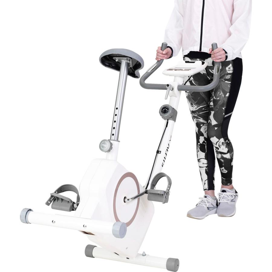 アルインコ アルインコ ALINCO エアロマグネティックバイク 5721 AFB5721 アルインコ ALINCO エアロマグネティックバイク