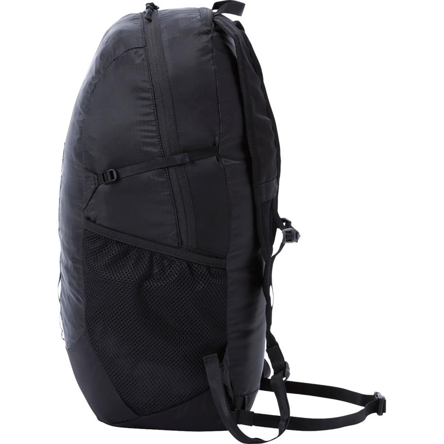 THE NORTH FACE（ザ ノースフェイス） メイフライパック22 メンズ