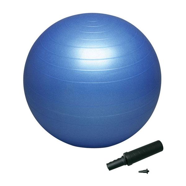 ハタ HATAS バランスボールセイフティー55cm ポンプ付 バランスボール 体幹 トレーニング エクササイズ 宅トレ 家トレ 筋トレ DB55P | 