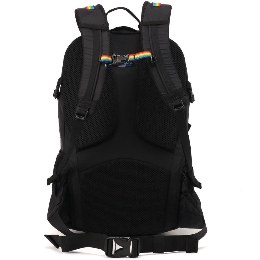 チャムス CHUMS スプリングデール30 Spring Dale バックパック リュックサック バッグ 約30L 着脱式ウエストポーチ 登山 トレッキング 旅行 デイリーの画像