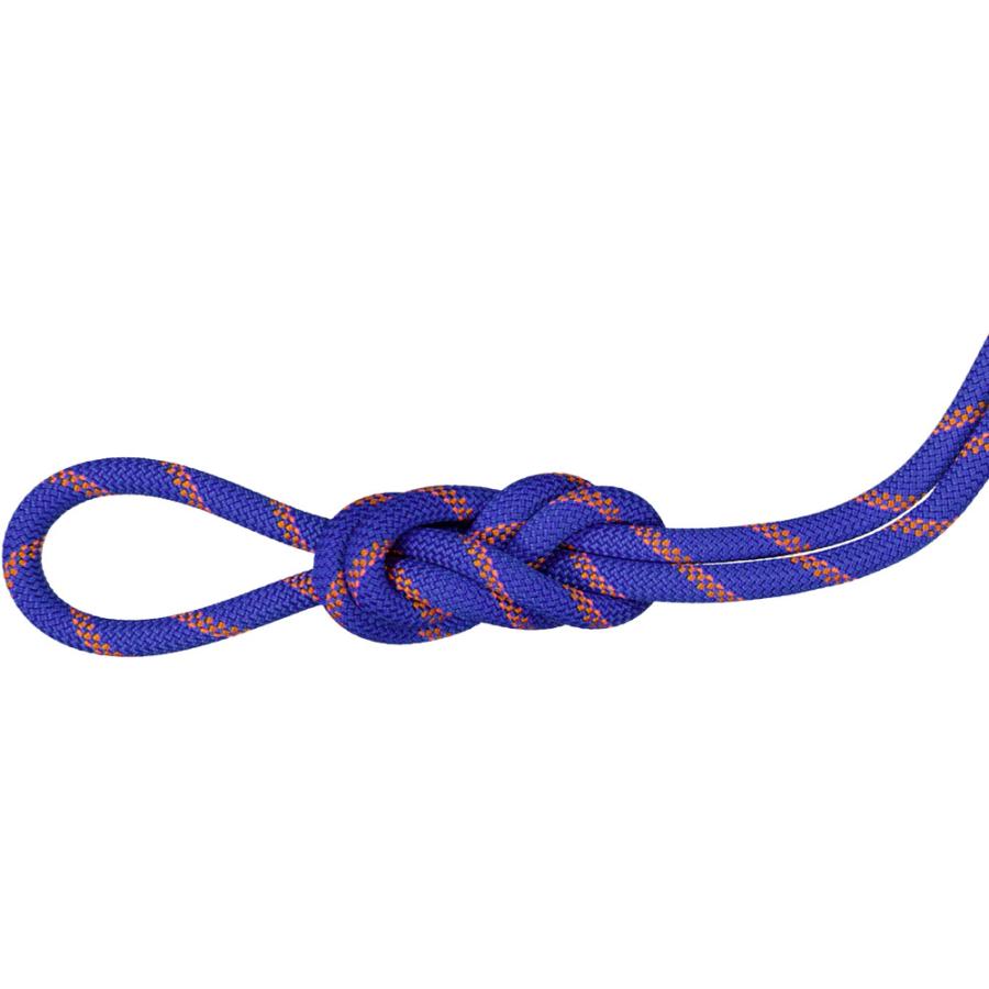 MAMMUT マムート 9.0 Alpine Sender Dry Rope Climbing Gear / Mountaineering ...