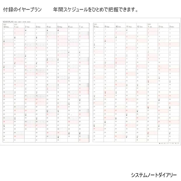 2024年ダイアリーノート B5サイズ 月間カレンダータイプ レイメイ RFDR2487｜e-maejimu｜03