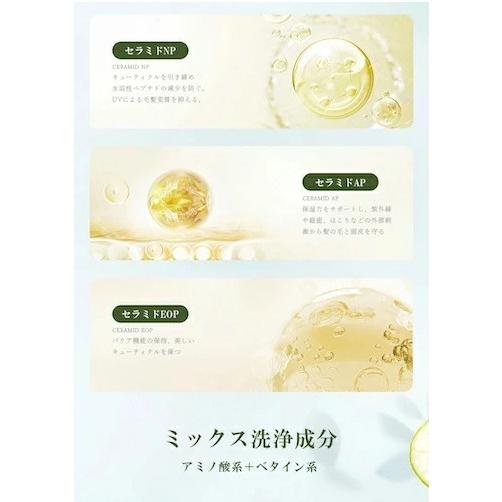 ヘアケア トリートメント モイスチャートリートメントKABOSU |  | 02