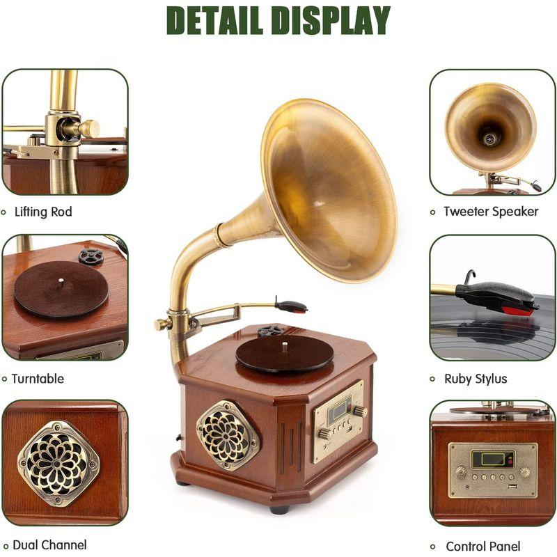 蓄音機 HOFEINZ 天然木材 蓄音機 純銅ホーン 工芸品 マルチレコード