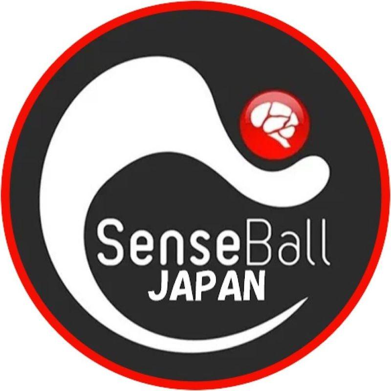 Sense Ball (センスボール) 世界のビッククラブやプロサッカー選手が推奨 サッカー トレーニング ボール 日本正規品 Ball センスボール 世界のビッククラブやプロサッカー選手が推奨 サッカー トレーニング ボール 日本正規品