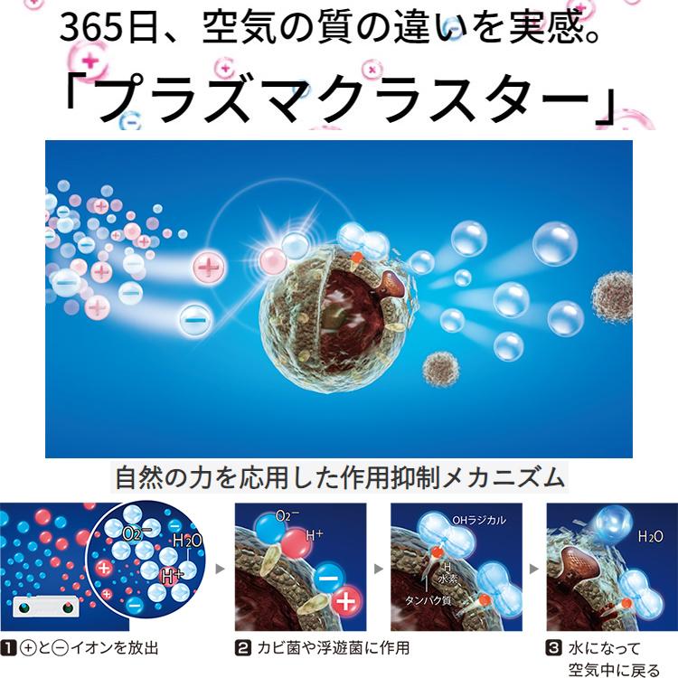 エアコン 主に6畳用 シャープ 2023年 モデル R-DHシリーズ 単相100V ホワイト プラズマクラスター 冷暖房 AY-R22DH-W｜e-maxjapan｜04