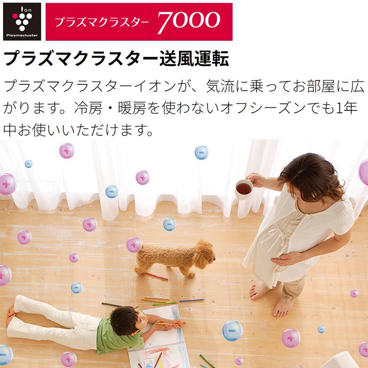 プラズマクラスター 標準取付工事費込 エアコン おもに6畳 プラズマクラスター 標準取付工事費込 エアコン おもに6畳
