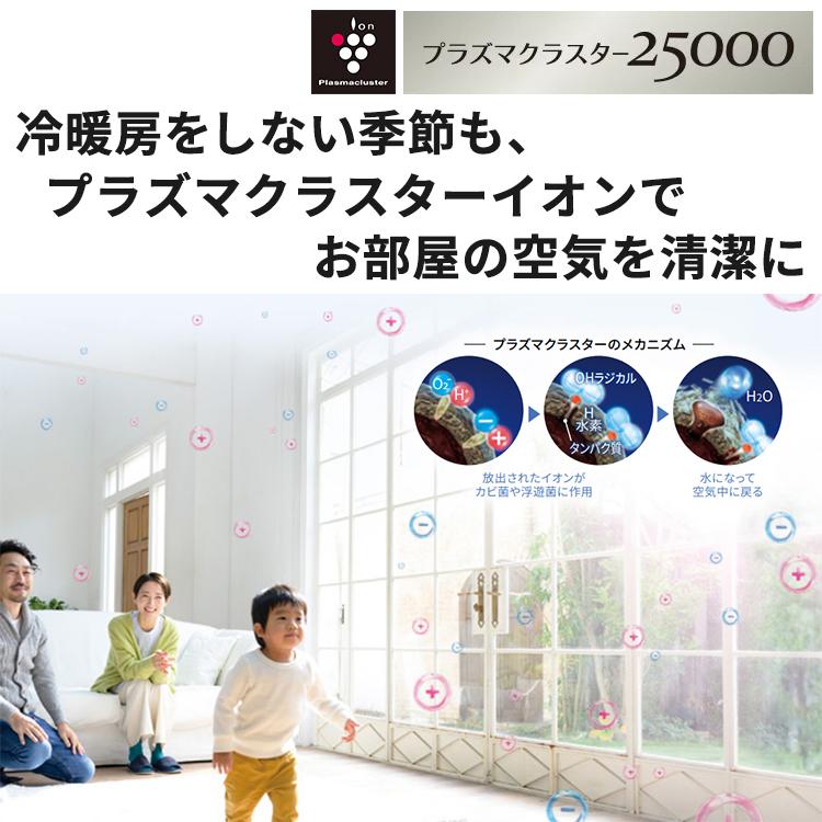 プラズマクラスター 標準取付工事費込 エアコン おもに14畳 プラズマクラスター 標準取付工事費込 エアコン おもに14畳