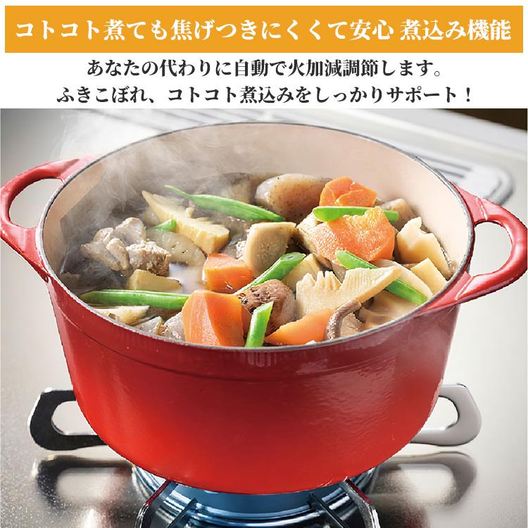 FACEIS ビルトインコンロ パロマ フェイシスグランド プロパンガス 3