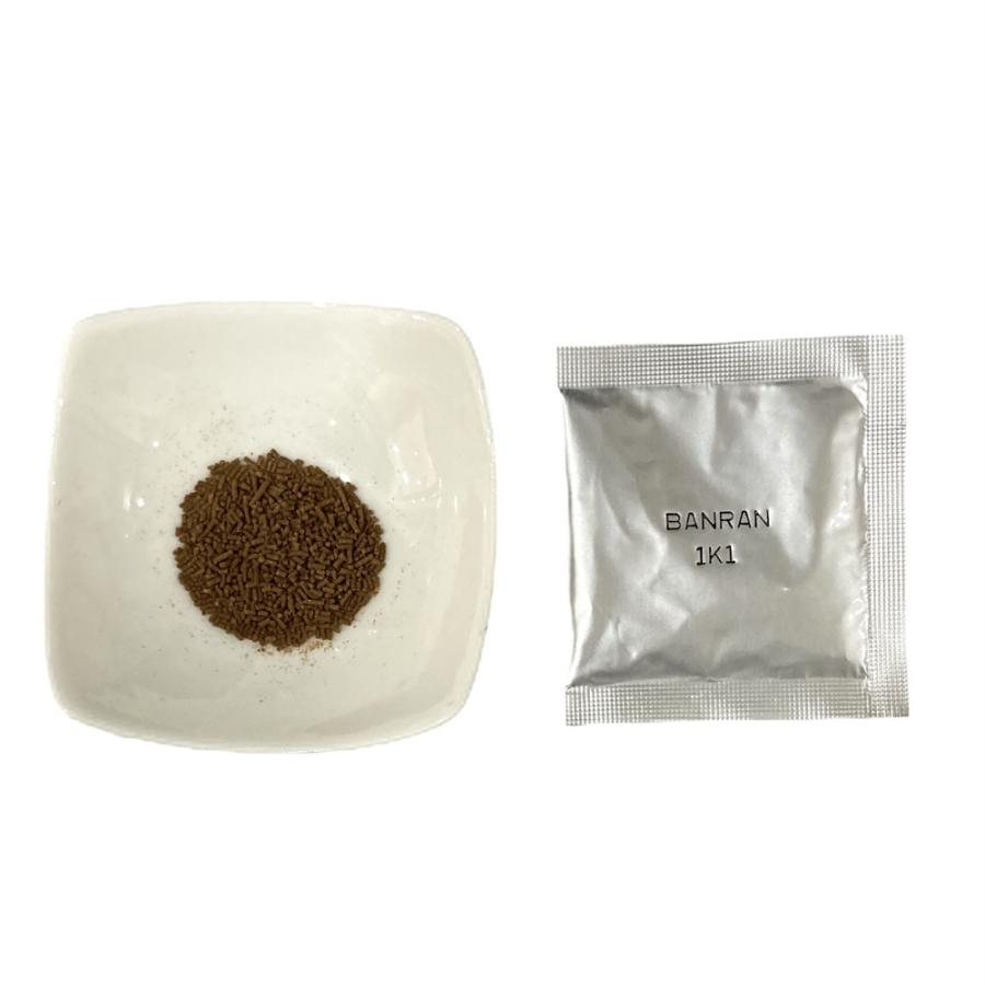 板藍根粉末顆粒100%〔1g×30袋〕ばんらんこん バンランコン 栃本天海堂