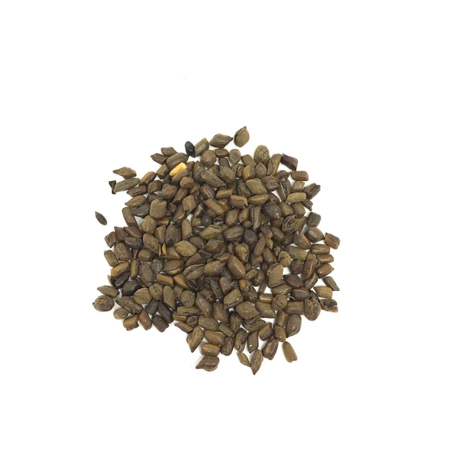 焙じはぶ茶 50g 少量 小分け | ブランド登録なし