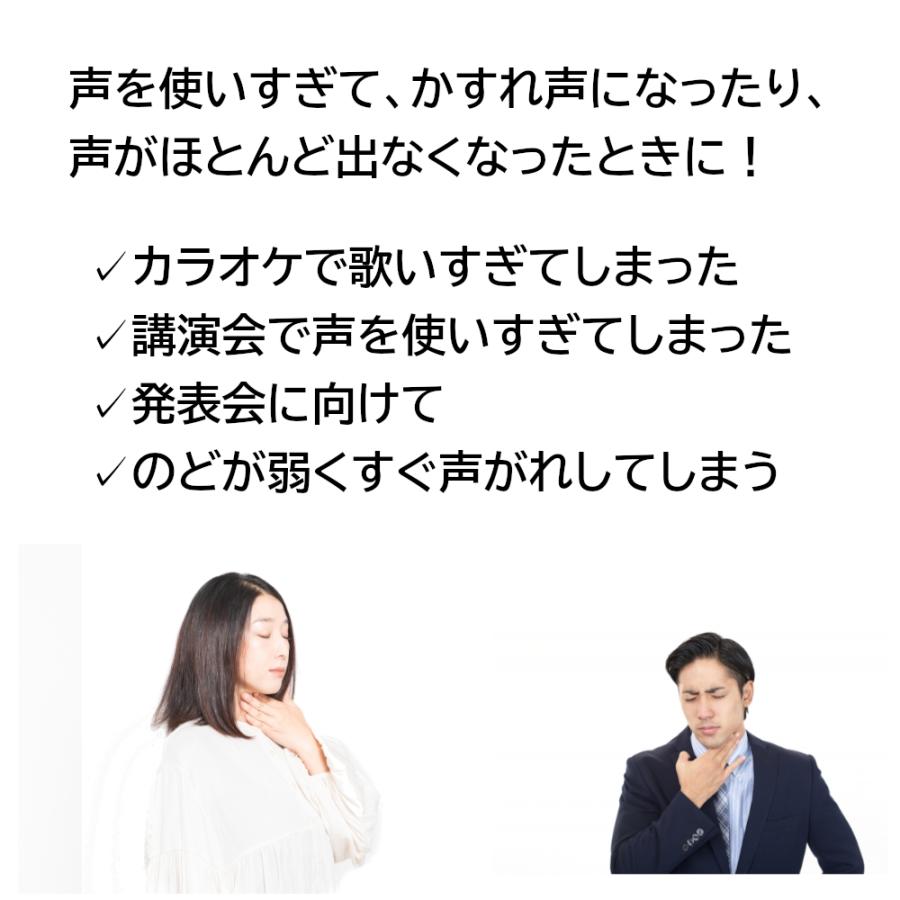 響声破笛丸料エキス細粒12包×2g 松浦薬業 しわがれ声 咽喉不快｜e-midikana｜04