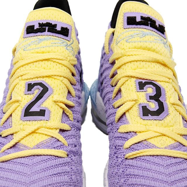 lebron 16 lakers championships