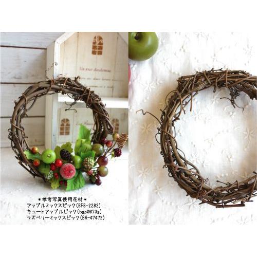 ドライフラワーリース台 15cm　サンキライヒゲつき |  | 01