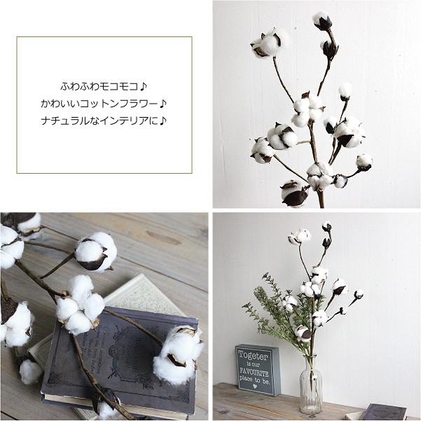 コットンフラワー 綿花 洋綿 ミックス 24個 ラグラスオマケ付き コットンフラワー 綿花 洋綿 ミックス 24個 ラグラスオマケ付き