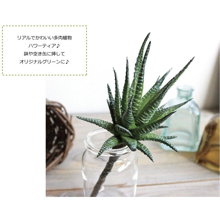 多肉植物 ハワーティア 造花 フェイクグリーン |  | 01