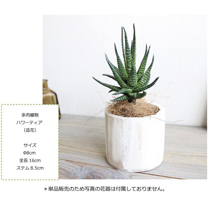多肉植物 ハワーティア 造花 フェイクグリーン |  | 03
