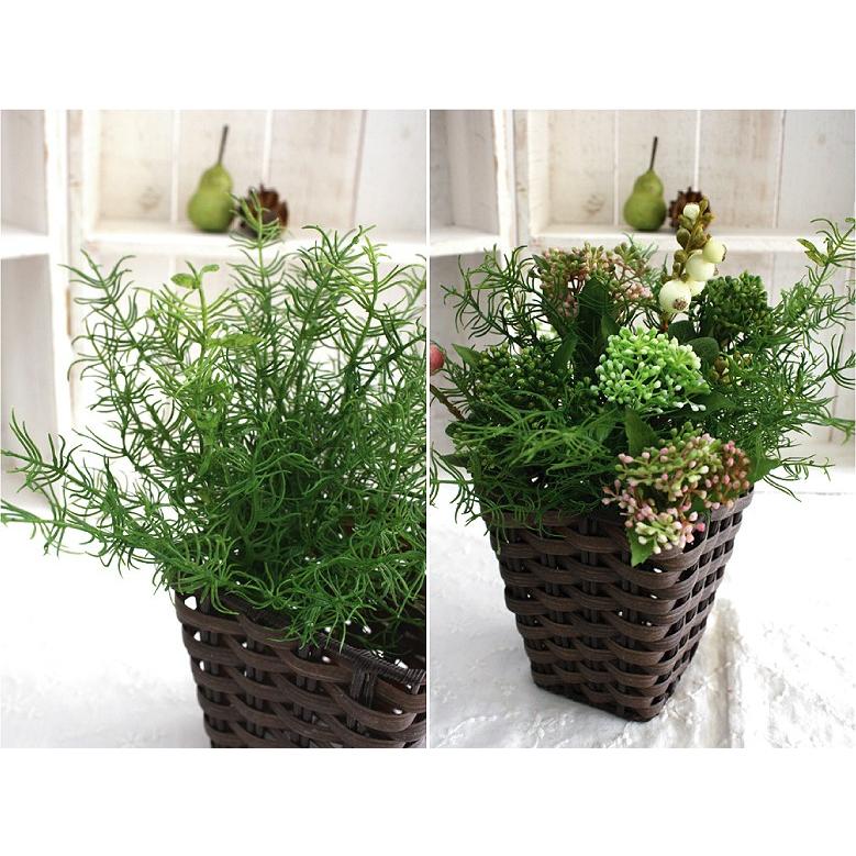 アスパラガスファーン（３本１束）　造花 41369 |  | 01