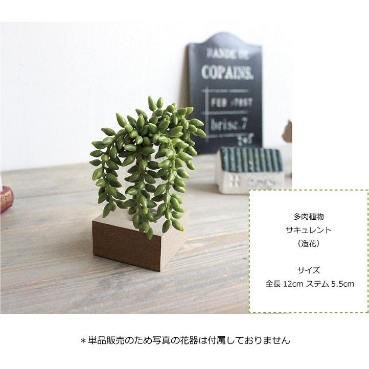 多肉植物 サキュレント 造花 フェイクグリーン Ba フェイクグリーン みんとかふぇ 通販 Yahoo ショッピング