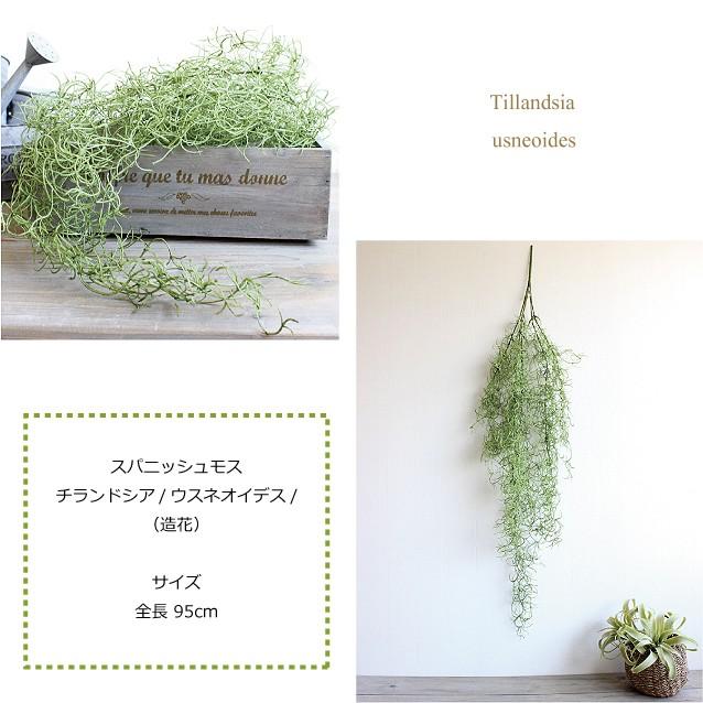 スパニッシュモス チランドシア ウスネオイデス 造花 インテリア フェイクグリーン Ct触媒 観葉植物 チランジア ティランジア ティランドシア Ba フェイクグリーン みんとかふぇ 通販 Yahoo ショッピング