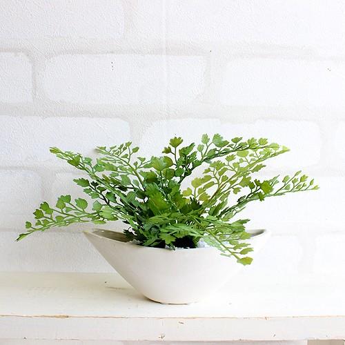 アジアンタム 小舟型 12cm 造花 観葉植物 インテリア Ct触媒 ミニ 造花 Llamaarchitects Co Uk