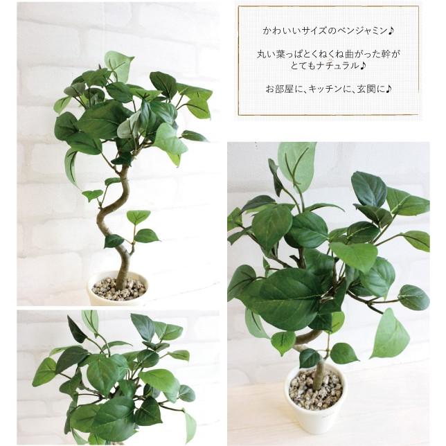 ミニ観葉植物 丸葉ベンジャミン 42cm 造花 フェイクグリーン 観葉植物 Ct触媒 Benjamina40 フェイクグリーン みんとかふぇ 通販 Yahoo ショッピング