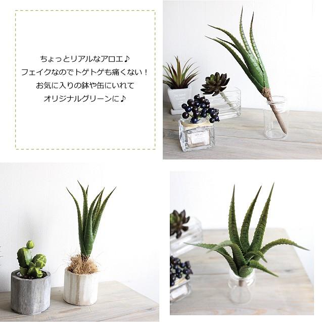 多肉植物 アロエ 造花 フェイクグリーン |  | 01