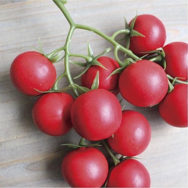 枝つきミニトマト 12ヶつき Vegetable 造花 雑貨 ガーデン雑貨