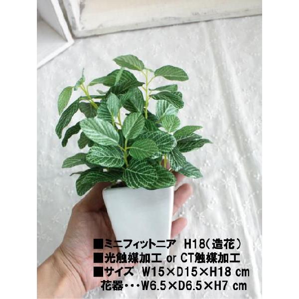 観葉植物 ミニフィットニア 18cm 造花 フェイクグリーン 光触媒 CT触媒