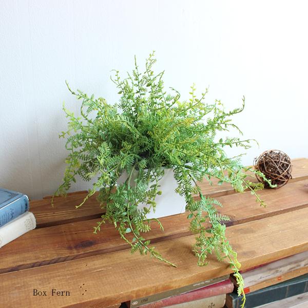 ボックスファーン 23cm  造花 観葉植物  フェイクグリーン CT触媒 消臭 ディスプレイ 装飾 オリジナル リアル 御祝い お祝い 開店 | 