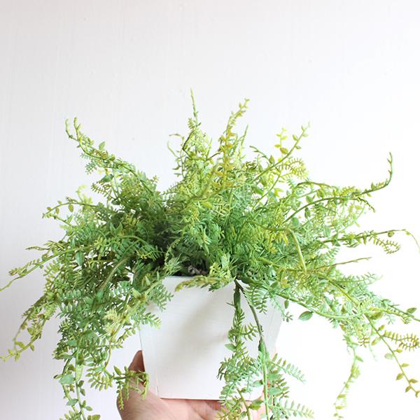 ボックスファーン 23cm  造花 観葉植物  フェイクグリーン CT触媒 消臭 ディスプレイ 装飾 オリジナル リアル 御祝い お祝い 開店 |  | 03