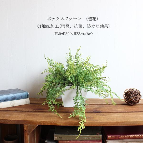 ボックスファーン 23cm  造花 観葉植物  フェイクグリーン CT触媒 消臭 ディスプレイ 装飾 オリジナル リアル 御祝い お祝い 開店 |  | 04