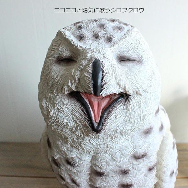 シロフクロウ hilarious　雑貨 アニマル オーナメント |  | 01