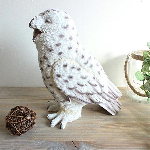 シロフクロウ hilarious　雑貨 アニマル オーナメント |  | 03