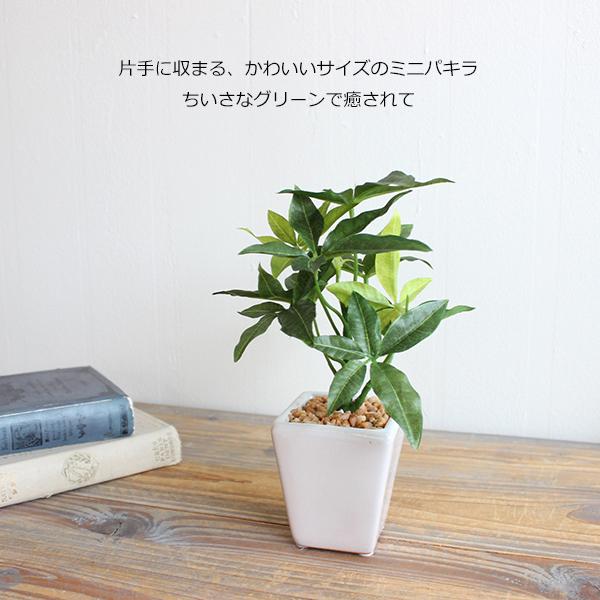 ミニパキラ 20cm 造花 フェイクグリーン CT触媒 消臭 観葉植物