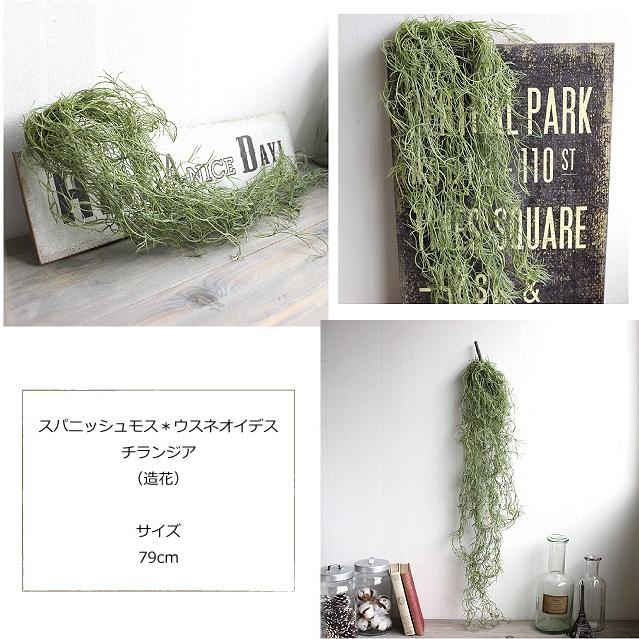 スパニッシュモス チランドシア ウスネオイデス 5334 造花 インテリア フェイクグリーン Ct触媒 観葉植物 Bvdg5334 フェイクグリーン みんとかふぇ 通販 Yahoo ショッピング