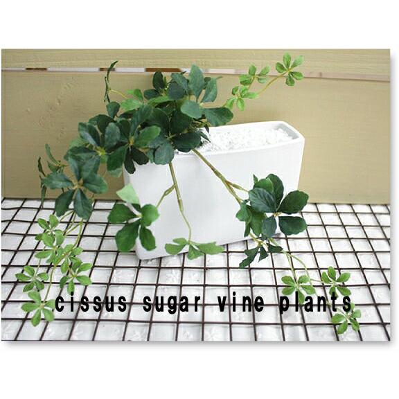 シサスプラント シュガーバイン 長方形プラント 石:ホワイト 造花 インテリア 観葉植物 ミニ|e-mintcafe|02