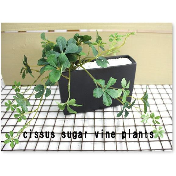 シサスプラント シュガーバイン 長方形プラント 石:ホワイト 造花 インテリア 観葉植物 ミニ|e-mintcafe|03