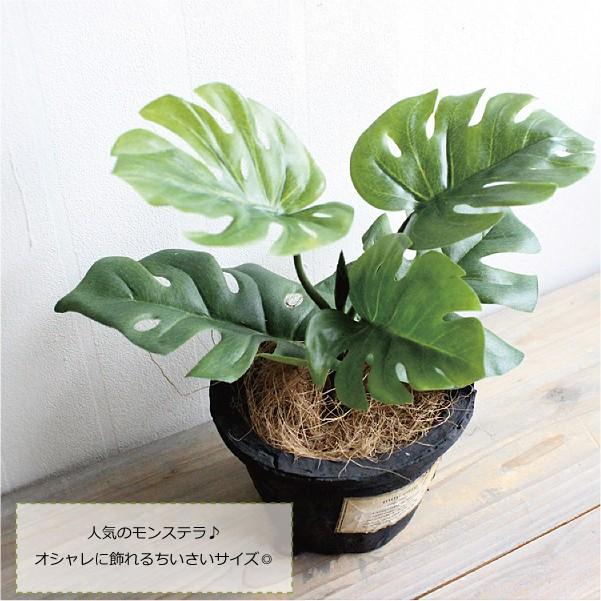 ミニモンステラ 25cm 造花 ミニ観葉植物 フェイクグリーン Ct触媒 Minimon25 フェイクグリーン みんとかふぇ 通販 Yahoo ショッピング
