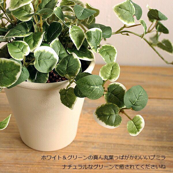 閉店SALE 在庫処分価格 / プミラ 20cm 造花 フェイクグリーン 観葉植物