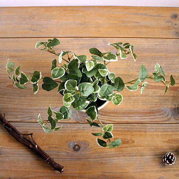 閉店SALE 在庫処分価格 / プミラ 20cm 造花 フェイクグリーン 観葉植物