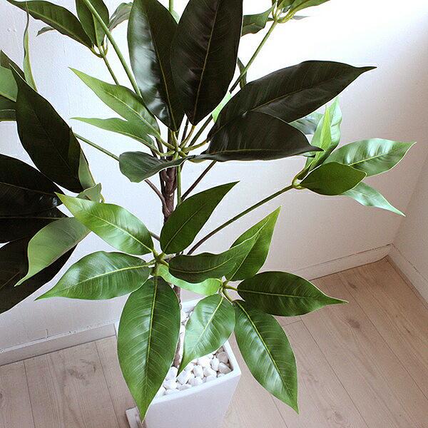 ＜櫻井・有吉the夜会 7月13日(木)放送されました＞　ツピタンサス 115cm 造花 観葉植物 CT触媒 消臭 抗菌 人工観葉植物（重要：送料 別途地域あり） EIM1336278791(12870円)