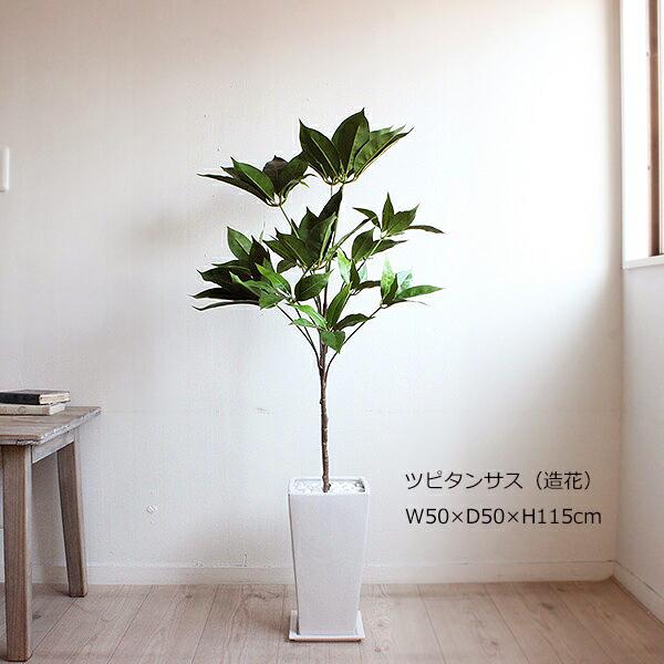 ＜櫻井・有吉the夜会 7月13日(木)放送されました＞　ツピタンサス 115cm 造花 観葉植物 CT触媒 消臭 抗菌 人工観葉植物（重要：送料 別途地域あり） EIM1336278791(12870円)